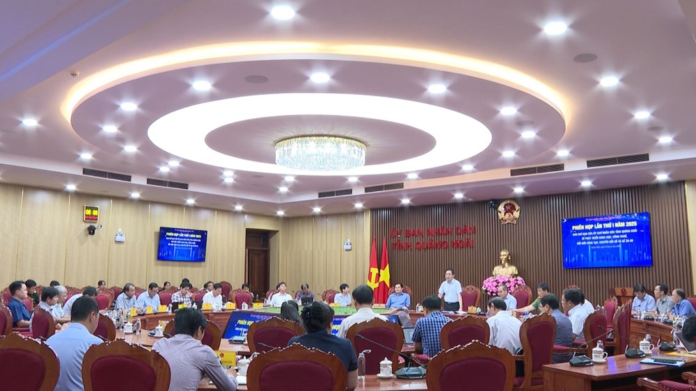 Hạ tầng số tỉnh Quảng Ngãi được đẩy mạnh đầu tư, phát triển - ảnh 3