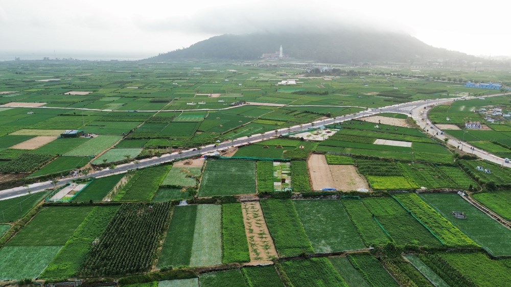 Đầu tư hạ tầng, hỗ trợ sản xuất góp phần giảm nghèo ở Lý Sơn - ảnh 1