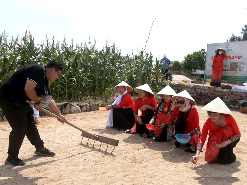 Lý Sơn phát triển du lịch cộng đồng, tạo việc làm ổn định cho người dân - ảnh 8