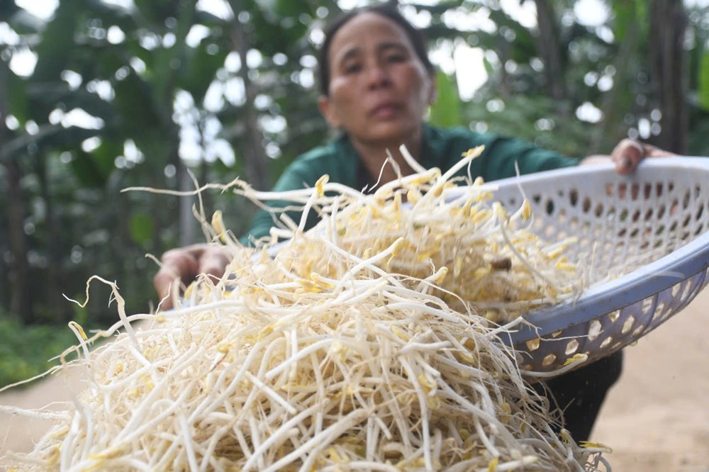 Tăng cường kiểm tra, xử lý các cơ sở sản xuất kinh doanh thực phẩm gây mất ATTP - ảnh 2