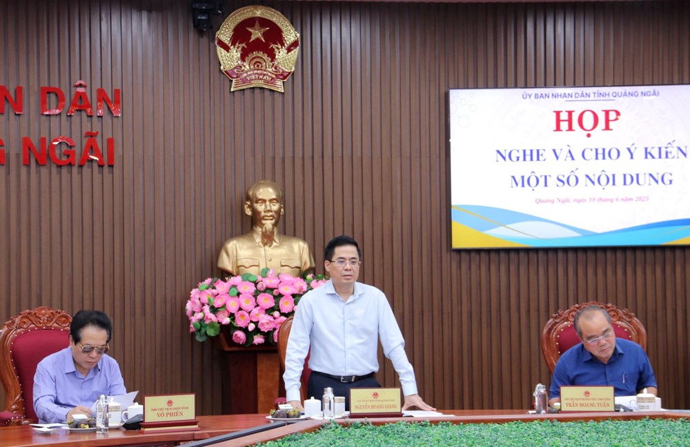 Quảng Ngãi không vì hợp nhất tỉnh mà chậm giải ngân vốn đầu tư công - ảnh 3