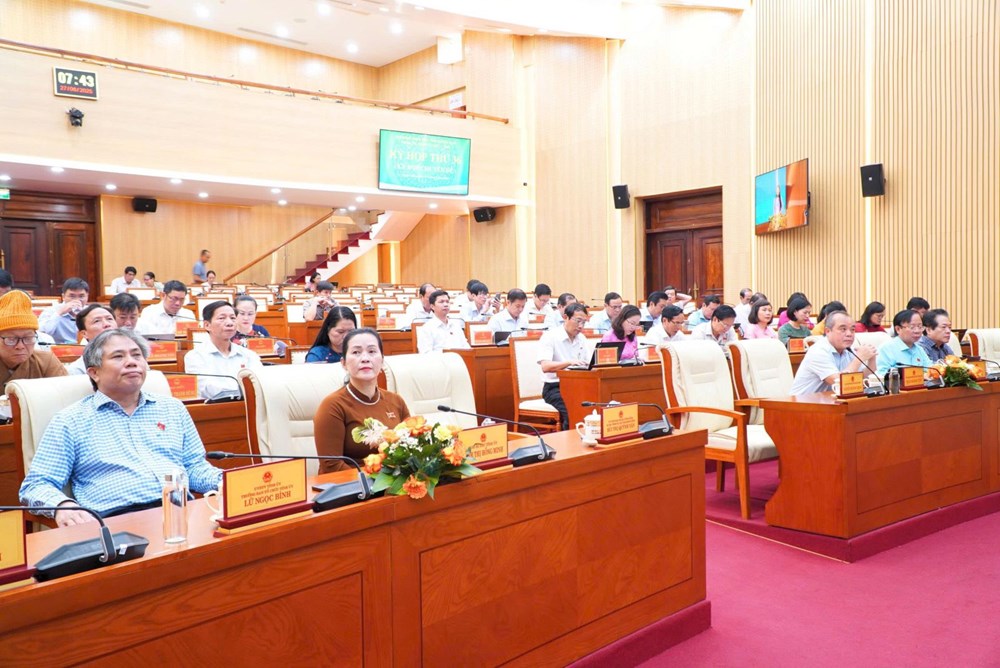 Kỳ họp HĐND Quảng Ngãi cuối cùng thông qua nhiều Nghị quyết quan trọng - ảnh 2