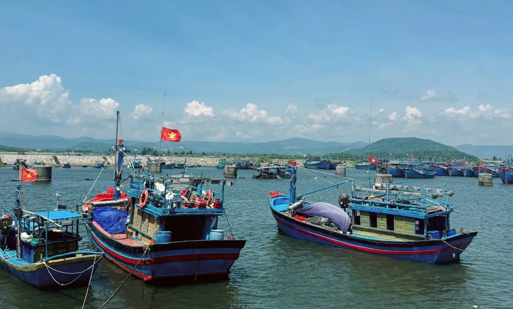Cửa biển thông, ngư dân ra khơi phấn khởi - ảnh 3