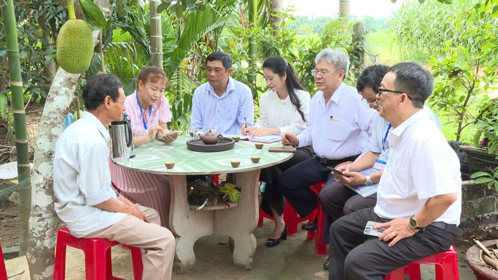 Quảng Ngãi quyết tâm hoàn thành tổng điều tra nông thôn, nông nghiệp - ảnh 2