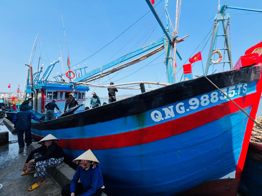 Quảng Ngãi xử lý nghiêm các vi phạm về khai thác thủy sản IUU - ảnh 2