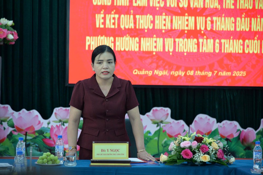 Lãnh đạo tỉnh Quảng Ngãi làm việc với Sở VHTTDL - ảnh 3