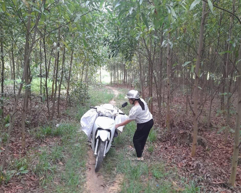 Phát hiện xử lý các trường hợp buôn bán, vận chuyển và vứt xác lợn bệnh - ảnh 3