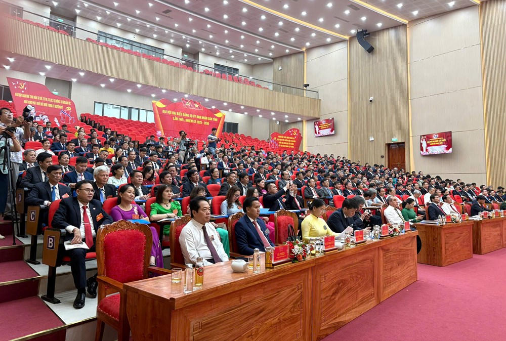 Đại hội Đảng bộ UBND tỉnh Quảng Ngãi lần thứ I - ảnh 1