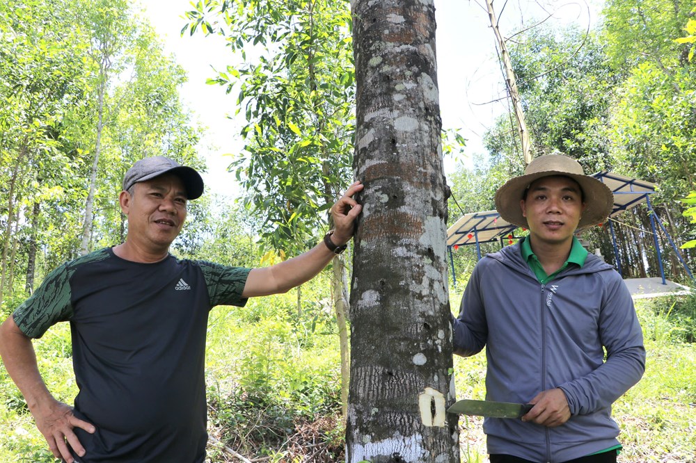 Xây dựng thương hiệu hương trầm “xanh” - ảnh 1