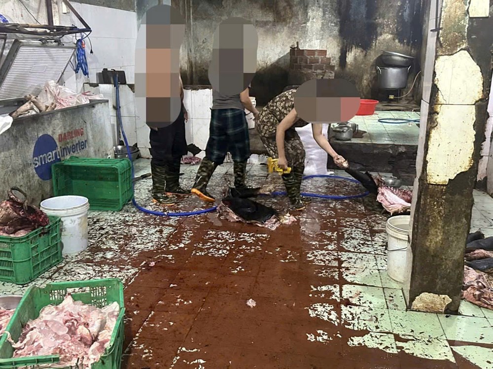 Phát hiện, tiêu hủy hơn 1 tấn thịt lợn không rõ nguồn gốc - ảnh 1