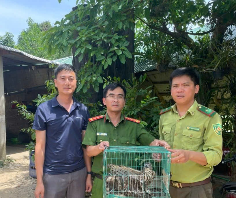 Thả cá thể diều hâu quý hiếm mắc lưới nhà dân về lại tự nhiên - ảnh 1