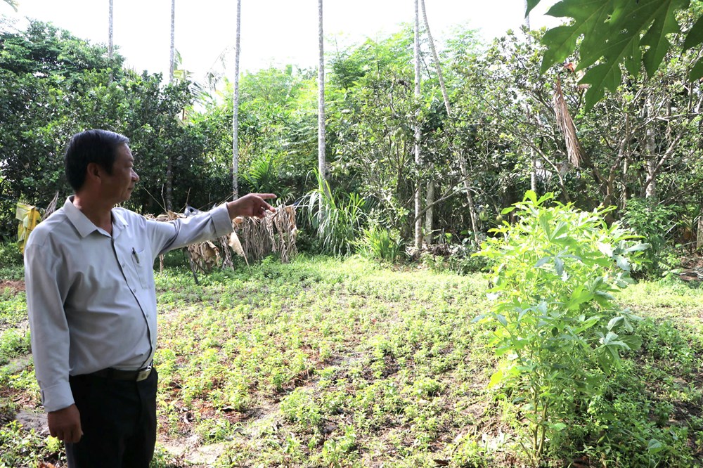 Làng Thi Phổ Nhất, nơi khởi đầu Tổng khởi nghĩa - ảnh 1