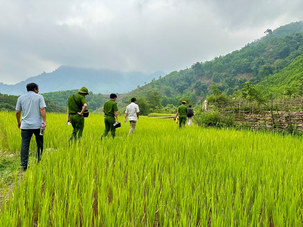 Những người hùng thầm lặng - ảnh 3
