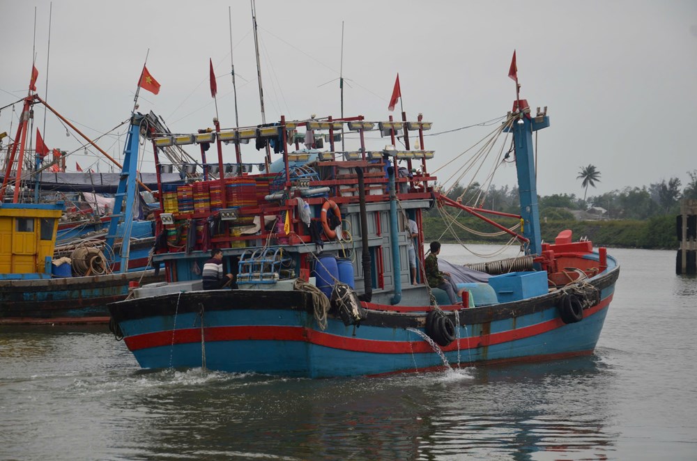 Cấm tàu thuyền ra biển hoạt động khi có gió mạnh từ cấp 6 - ảnh 2