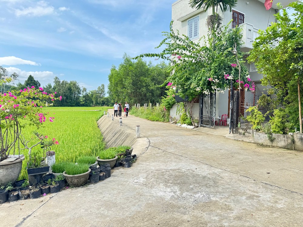 Chi bộ mạnh từ sự đoàn kết và đồng thuận - ảnh 1