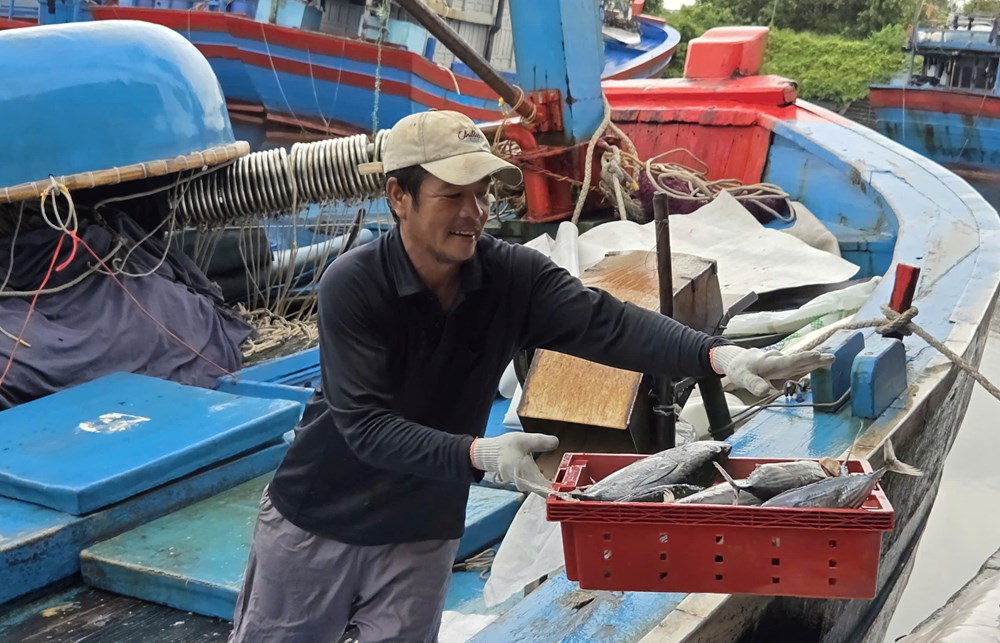 Quảng Ngãi chủ động triển khai ứng phó với bão Ragasa gần Biển Đông - ảnh 2