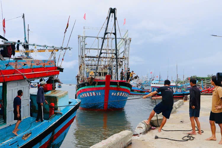Quảng Ngãi triển khai đồng bộ, quyết liệt trước diễn biến phức tạp của siêu bão Bualoi - ảnh 1