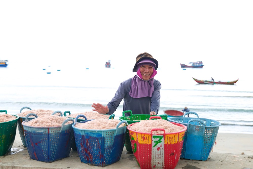 Được mùa ruốc biển, ngư dân Quảng Ngãi kiếm tiền triệu mỗi ngày - ảnh 3