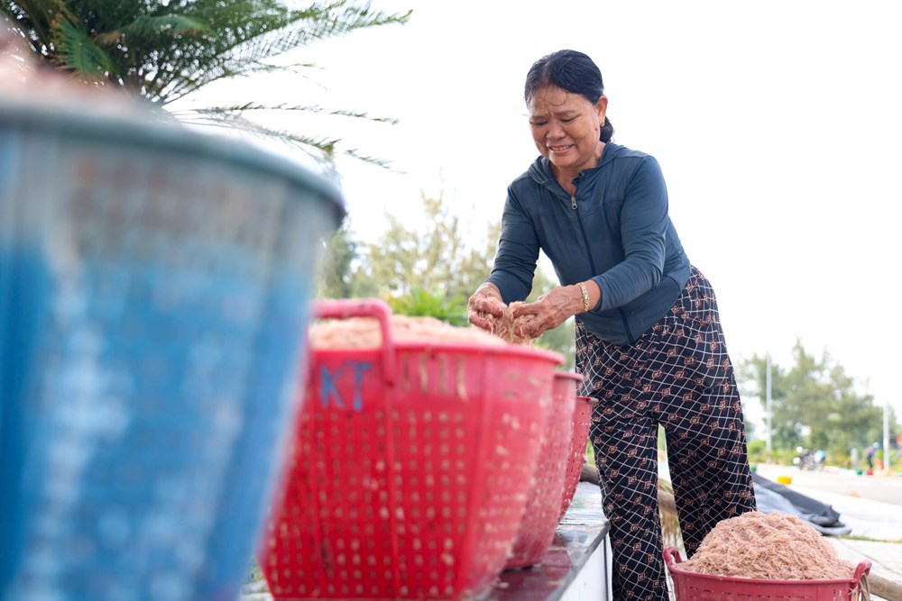 Được mùa ruốc biển, ngư dân Quảng Ngãi kiếm tiền triệu mỗi ngày - ảnh 8