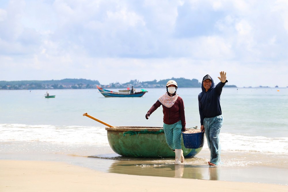 Được mùa ruốc biển, ngư dân Quảng Ngãi kiếm tiền triệu mỗi ngày - ảnh 2
