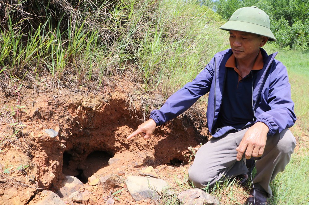 Hồ đập xuống cấp, nguy cơ mất an toàn trong mùa mưa lũ - ảnh 3
