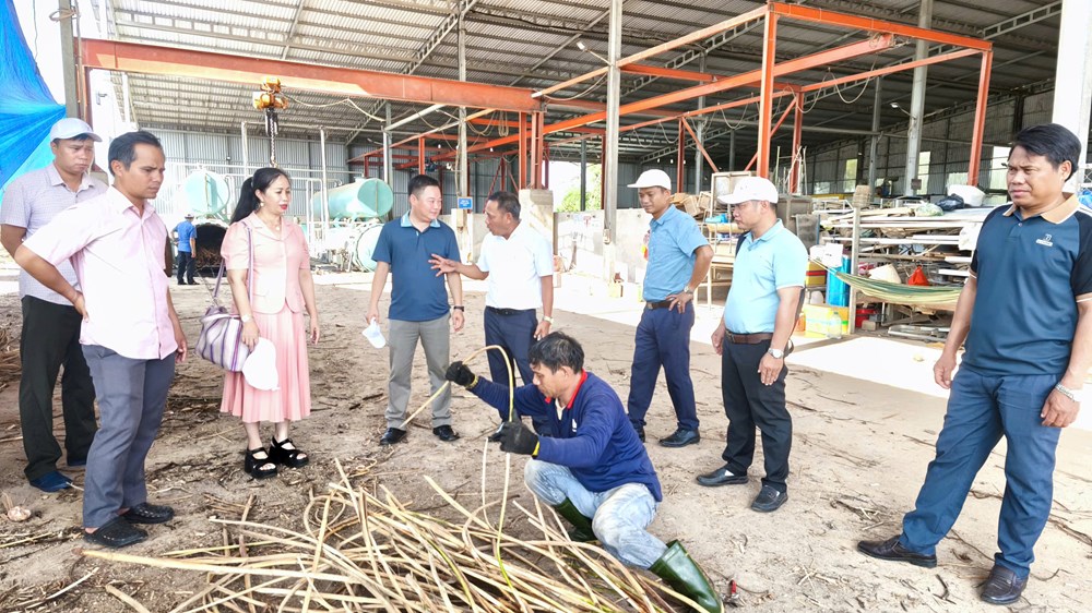 Bảo tồn và phát triển sản phẩm từ cây mây rừng - ảnh 5
