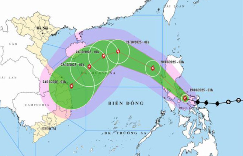 Quảng Ngãi triển khai các biện pháp ứng phó bão số 12 - ảnh 3