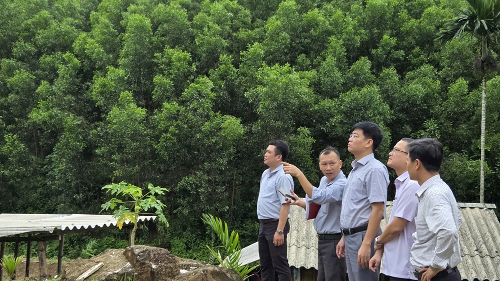 Di dời đảm bảo an toàn cho người dân vùng sạt lở dưới chân núi Gò Oát - ảnh 4