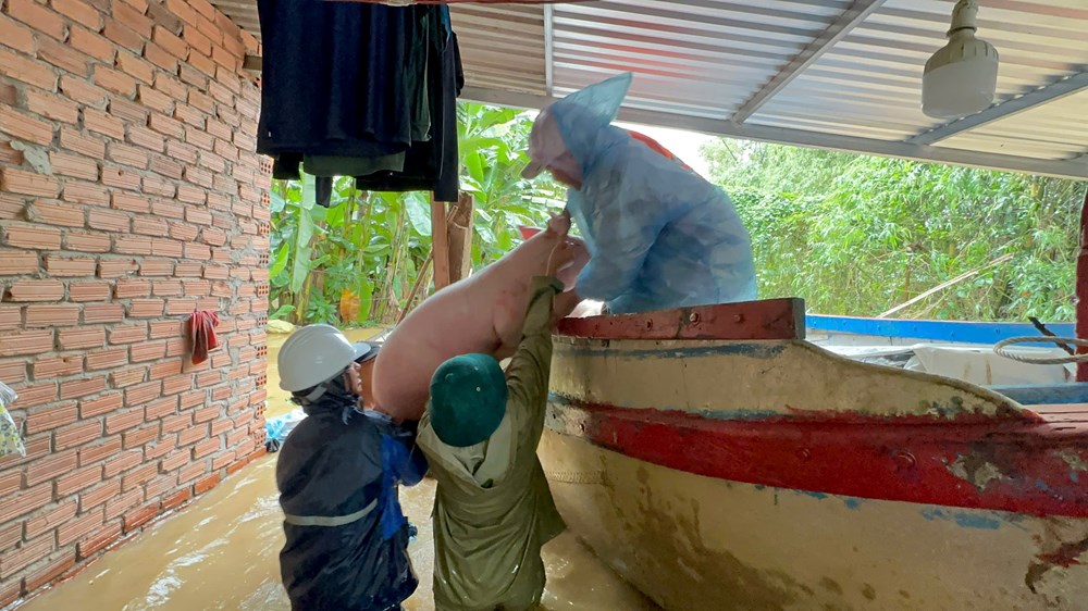 Nước lũ dâng cao, nhiều khu dân cư bị cô lập - ảnh 13