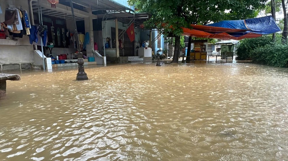 Bộ đội Biên phòng Quảng Ngãi giúp dân thu hoạch mì chạy lũ - ảnh 4