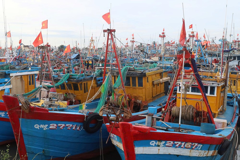 Cấm các loại tàu thuyền ra biển hoạt động từ 19 giờ ngày 5.11 - ảnh 3