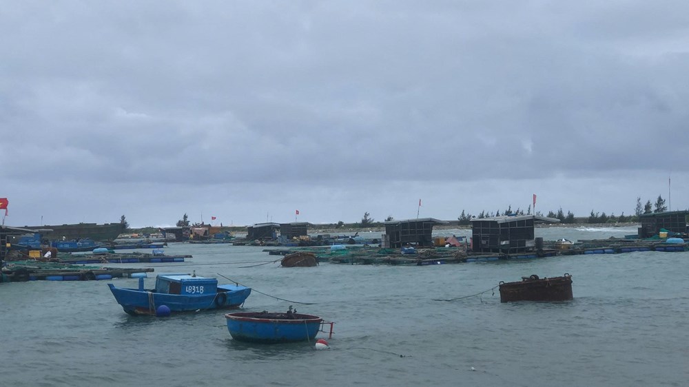 Đặc khu Lý Sơn bắt đầu có mưa, gió giật mạnh - ảnh 1