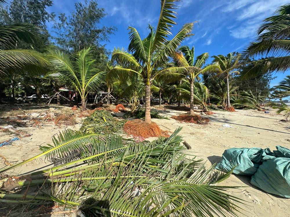 Các điểm di tích, du lịch ở Quảng Ngãi bị ảnh hưởng nặng do triều cường - ảnh 9