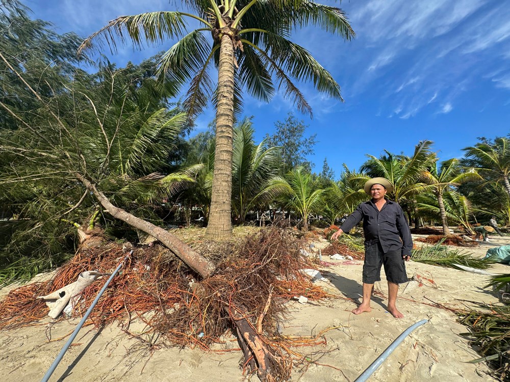 Các điểm di tích, du lịch ở Quảng Ngãi bị ảnh hưởng nặng do triều cường - ảnh 8