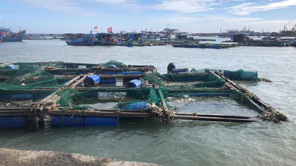 Quảng Ngãi thiệt hại hơn 306 tỷ đồng do ảnh hưởng bão số 13 - ảnh 3