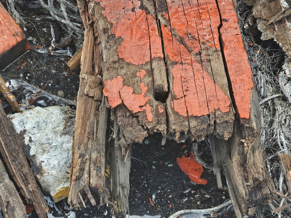 Thuyền trưởng đánh đổi con tàu giành lấy sự sống của 14 người  - ảnh 4