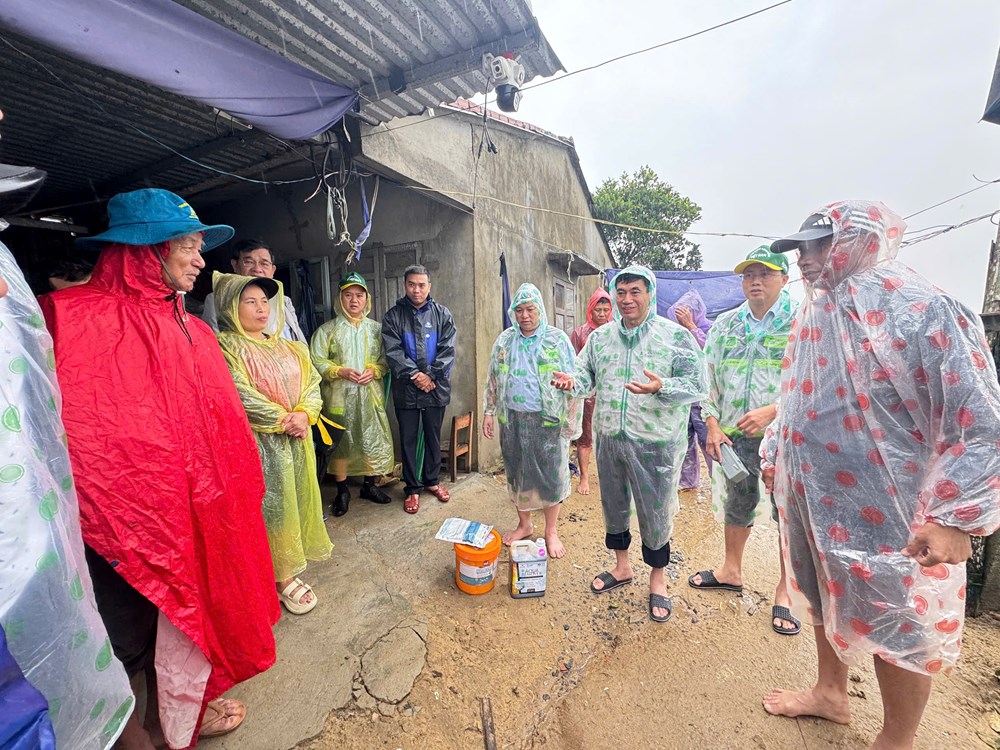 Hỗ trợ nông dân Quảng Ngãi sớm tái thiết hoạt động nông nghiệp - ảnh 3