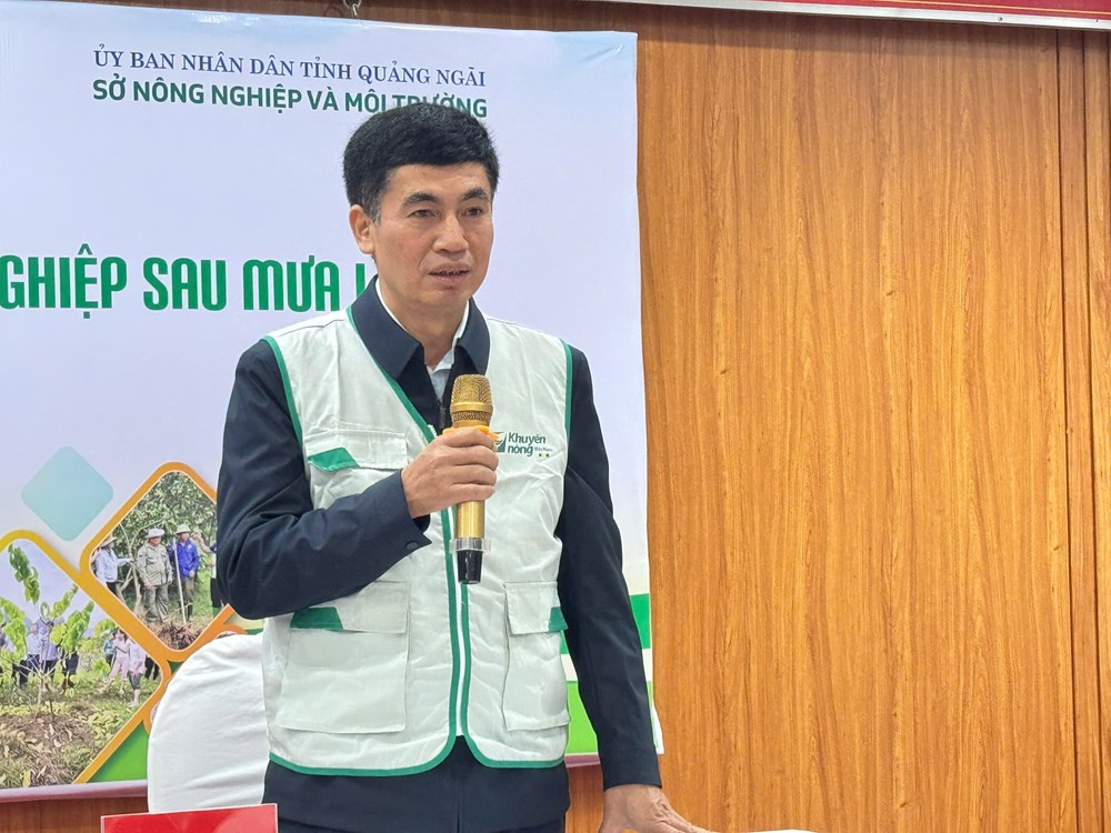 Hỗ trợ nông dân Quảng Ngãi sớm tái thiết hoạt động nông nghiệp - ảnh 4