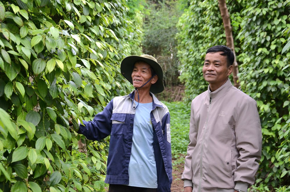 Chi hội trưởng nông dân năng động, làm kinh tế giỏi - ảnh 3