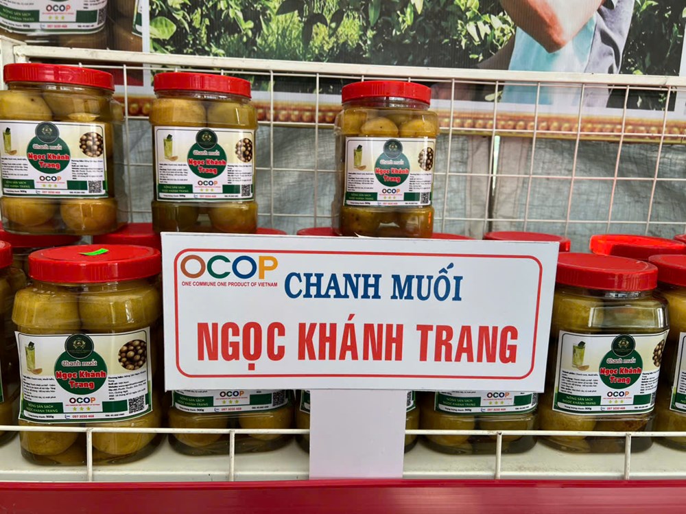 Trồng chanh tứ quý - Hướng đi mới của nông dân xã Mộ Đức - ảnh 4