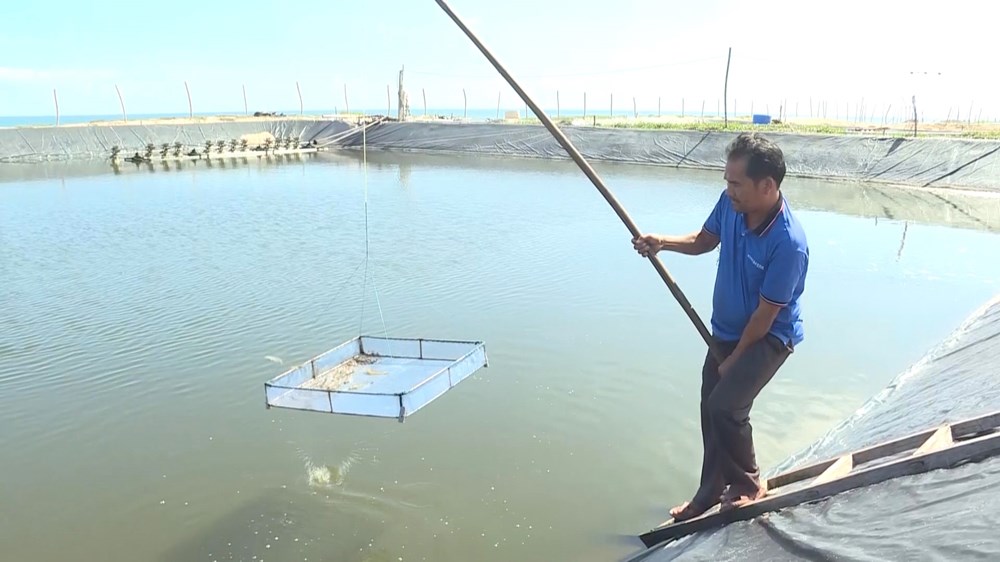 Khôi phục sản xuất nông nghiệp sau mưa, lũ - ảnh 4