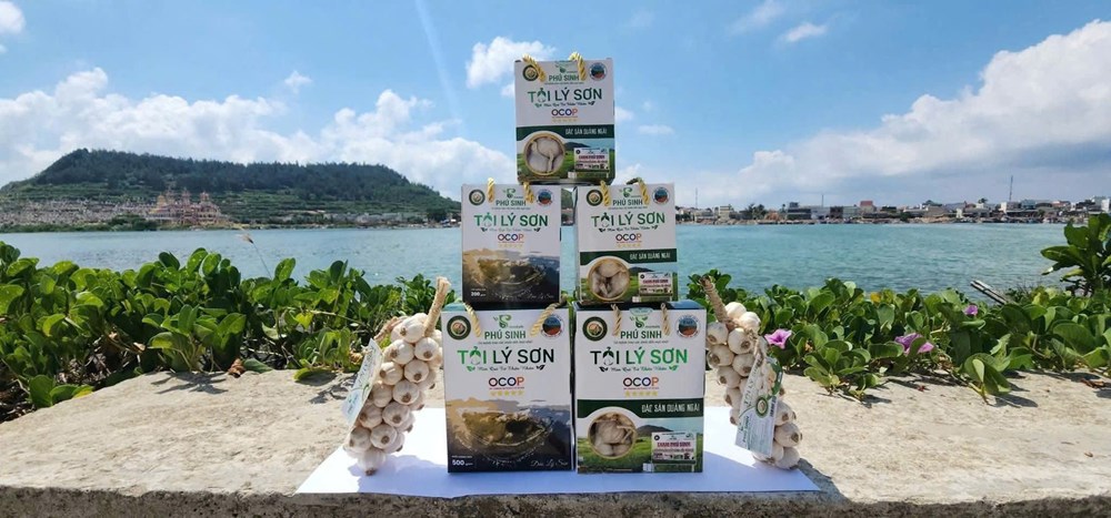 Nâng cao giá trị đặc sản tỏi Lý Sơn - ảnh 4