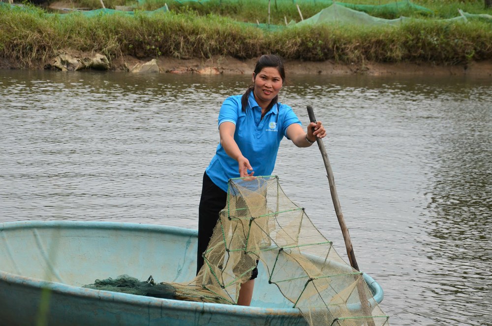 Phụ nữ nông thôn Vạn Tường năng động làm kinh tế - ảnh 1