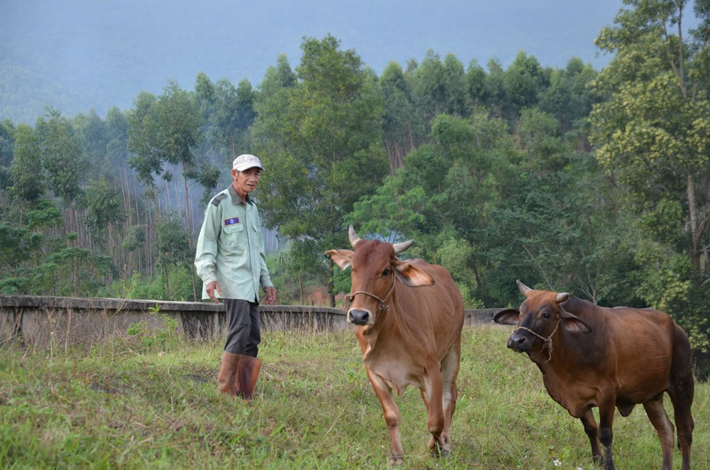 Hỗ trợ nhà ở, sinh kế giúp người nghèo phát triển sản xuất - ảnh 2