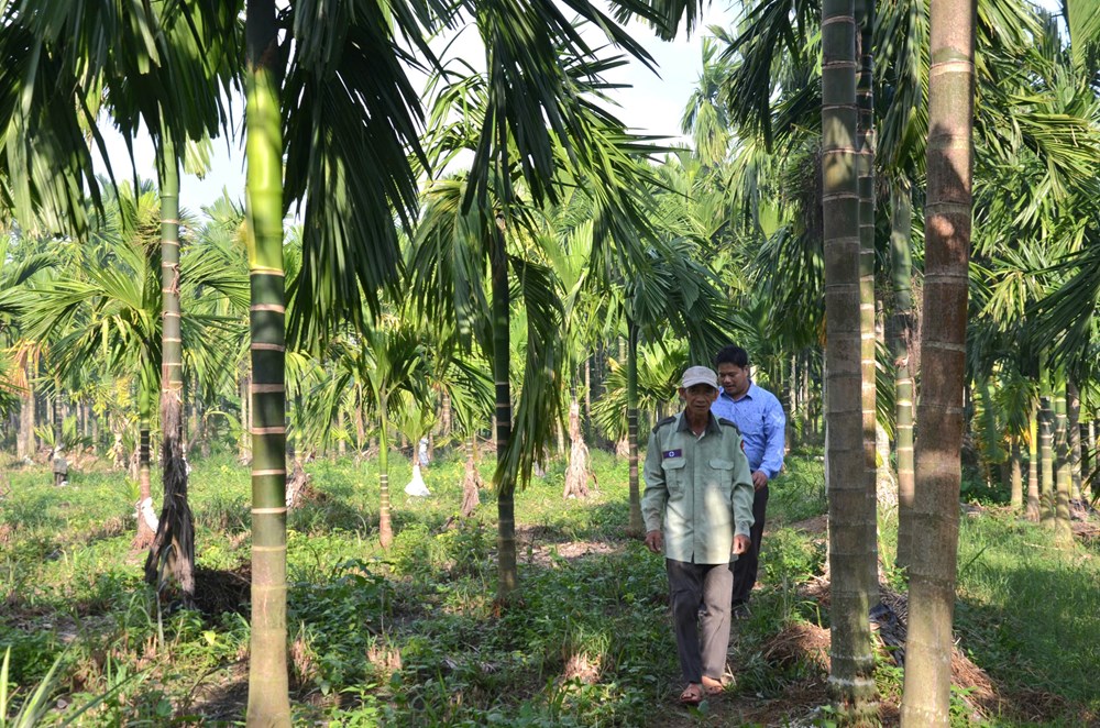 Hỗ trợ nhà ở, sinh kế giúp người nghèo phát triển sản xuất - ảnh 4