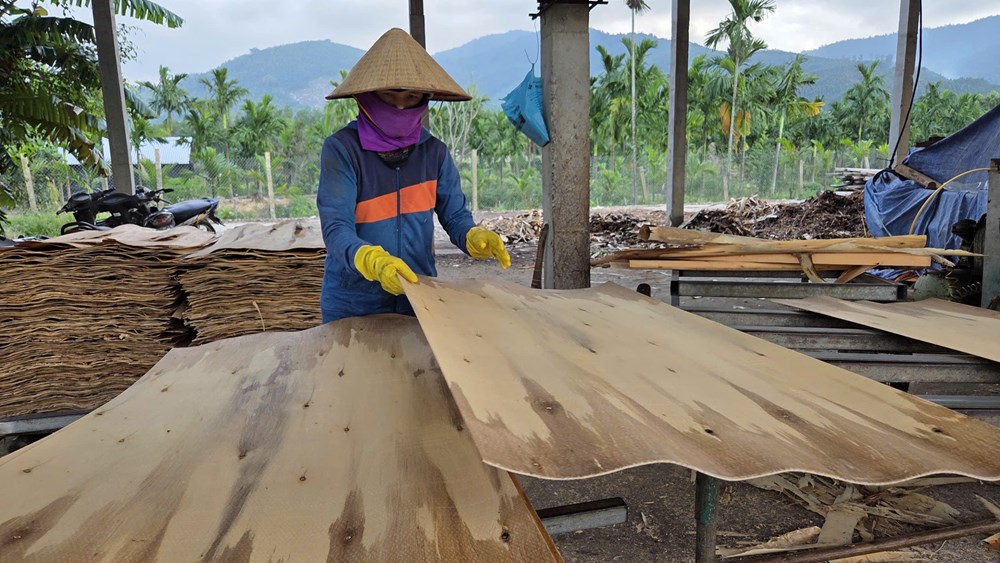 Xã Mộ Đức đẩy mạnh công tác giảm nghèo bền vững - ảnh 3