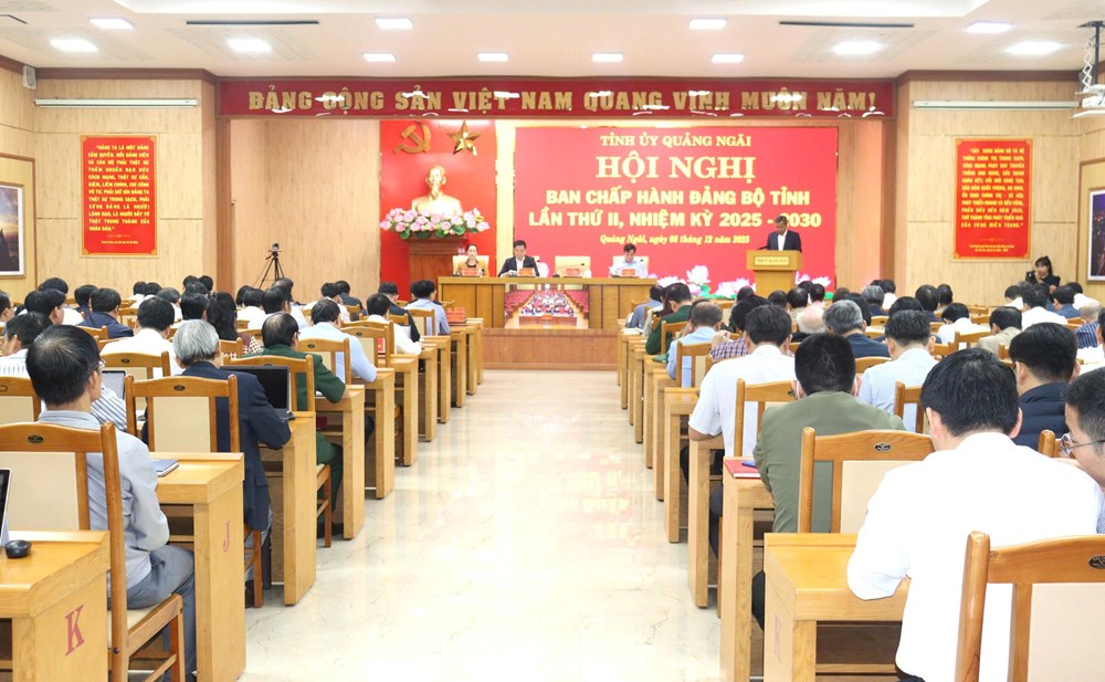 Quảng Ngãi hoàn thành 24/24 chỉ tiêu kinh tế - xã hội  - ảnh 3