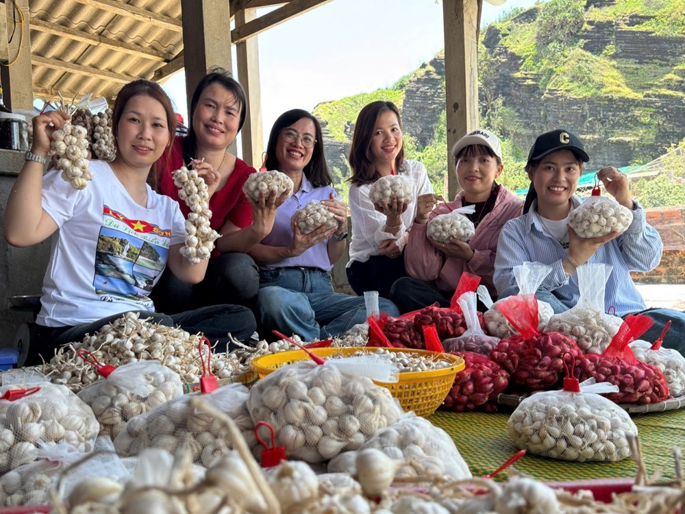 Quảng bá văn hóa, du lịch Lý Sơn thông qua câu chuyện kể về cây tỏi - ảnh 5