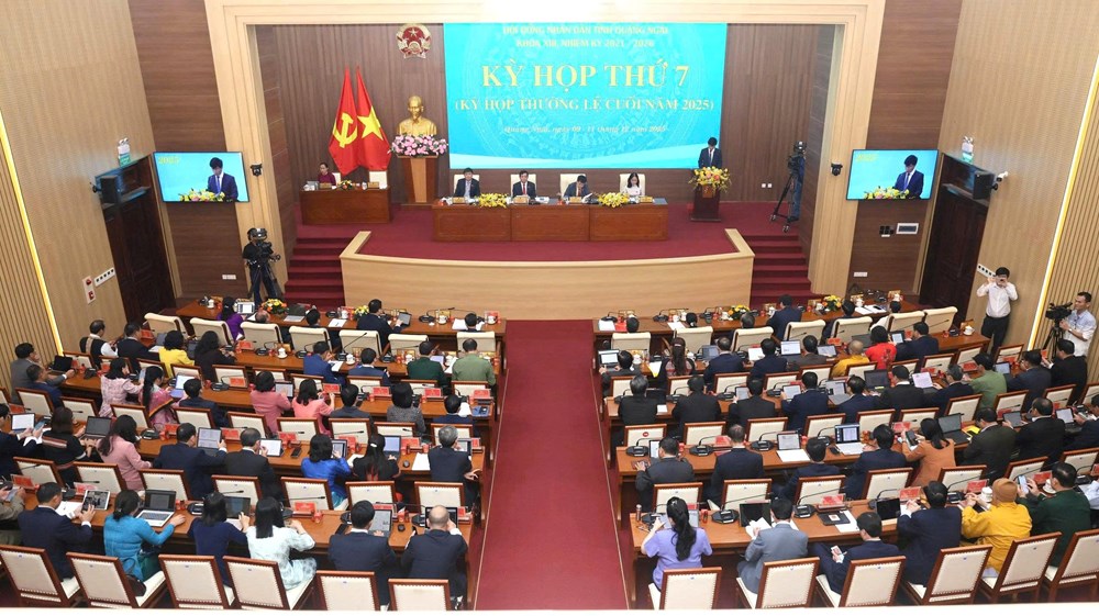 HĐND Quảng Ngãi xem xét, quyết nghị các chỉ tiêu, nhiệm vụ, giải pháp trọng tâm phát triển kinh tế - xã hội - ảnh 3