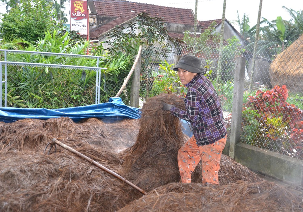 Nông dân Mộ Đức gắn bó với nghề trồng nấm rơm - ảnh 4